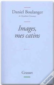 Capa do artigo Images Mes Catins