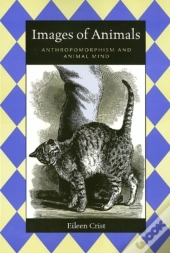 Images Of Animals