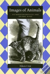 Capa do artigo Images Of Animals