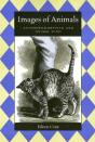 Images Of Animals - Preview