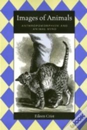 Capa do artigo Images Of Animals
