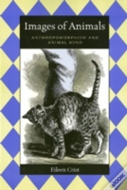 Capa do artigo Images Of Animals