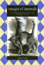 Images Of Animals - Preview