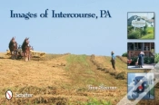 Capa do artigo Images Of Intercourse