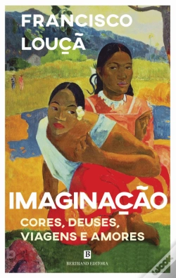 Capa do artigo Imaginação