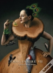 Capa do artigo Imaginaire Vii