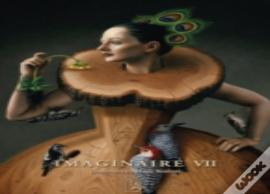 Imaginaire Vii
