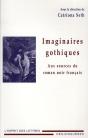 Imaginaires Gothiques ; Aux Sources Du Roman Noir Français - Preview