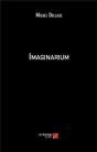 Imaginaruim - Preview