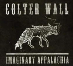 Capa do artigo Imaginary Appalachia - CD