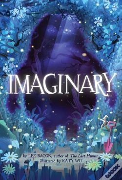 Capa do artigo Imaginary