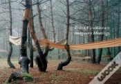 Capa do artigo Imaginary Meetings