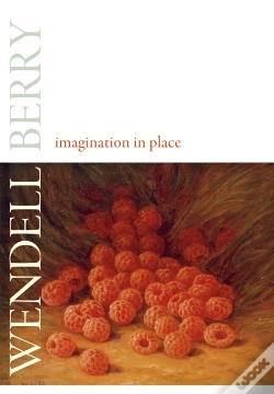 Capa do artigo Imagination In Place