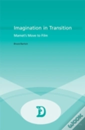 Imagination In Transition
