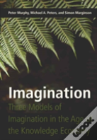 Imagination