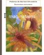Imaginations - Preview