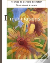 Capa do artigo Imaginations