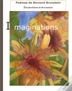 Capa do artigo Imaginations