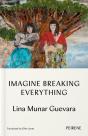 Imagine Breaking Everything - Preview