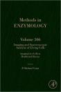 Imaging And Spectroscopic Analysis Of Living Cells - Preview