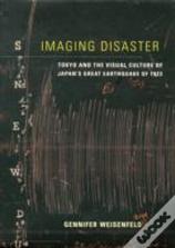 Imaging Disaster