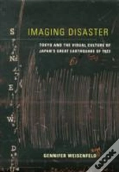 Imaging Disaster