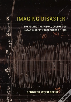 Capa do artigo Imaging Disaster