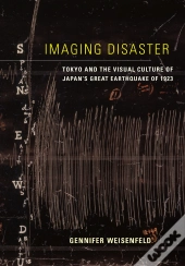 Imaging Disaster