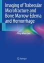 Imaging Of Trabecular Microfracture And Bone Marrow Edema And Hemorrhage - Preview