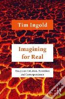 Imagining For Real
