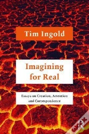 Capa do artigo Imagining For Real