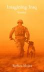 Imagining Iraq Stories - Preview