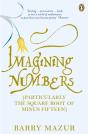 Imagining Numbers - Preview