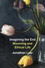 Imagining The End - Preview