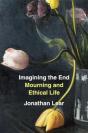 Imagining The End - Preview
