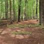 Imagining The Past At Mount Misery - Preview