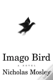 Capa do artigo Imago Bird