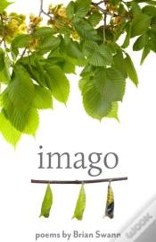 Capa do artigo Imago