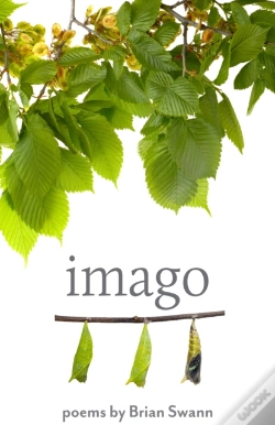 Capa do artigo Imago