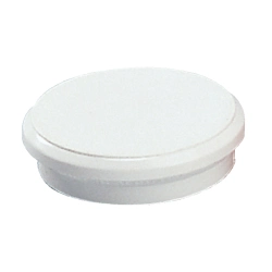 Capa do artigo Iman 24Mm Branco Dahle C/10 95524-21413