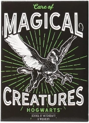 Capa do artigo Metal Magnet - Harry Potter: Hogwarts Care of Magical Creatures