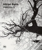 Imbroglio