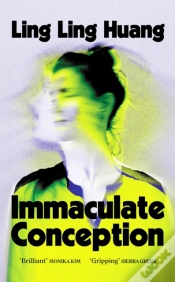 Capa do artigo Immaculate Conception