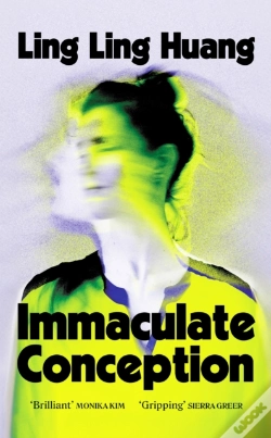 Capa do artigo Immaculate Conception