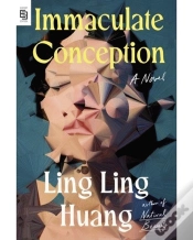 Capa do artigo Immaculate Conception