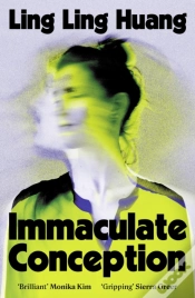 Capa do artigo Immaculate Conception