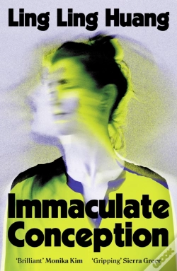 Capa do artigo Immaculate Conception