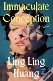Capa do artigo Immaculate Conception