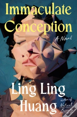 Capa do artigo Immaculate Conception