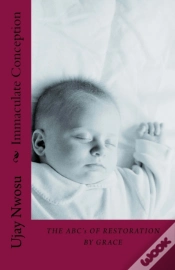 Capa do artigo Immaculate Conception